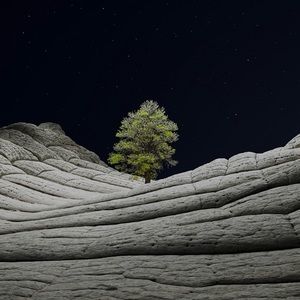 Meet your Posher, Randy